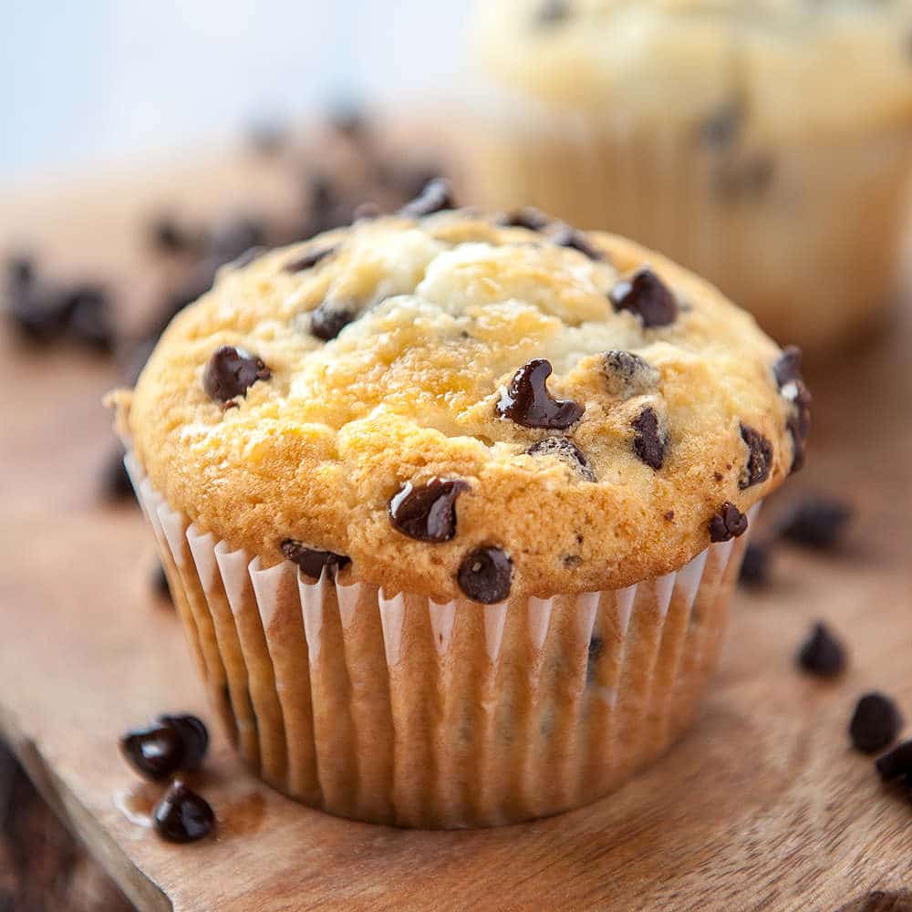 Chocolate Chip Muffin